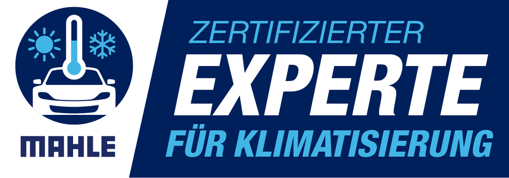 Nový koncept dílen pomáhá nezávislým dílnám prezentovat se jako specialisté v oblasti klimatického a tepelného managementu tím, že jim poskytuje odborné know-how, pokročilé technologie a cílenou marketingovou podporu.