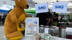 SAG on tour 2